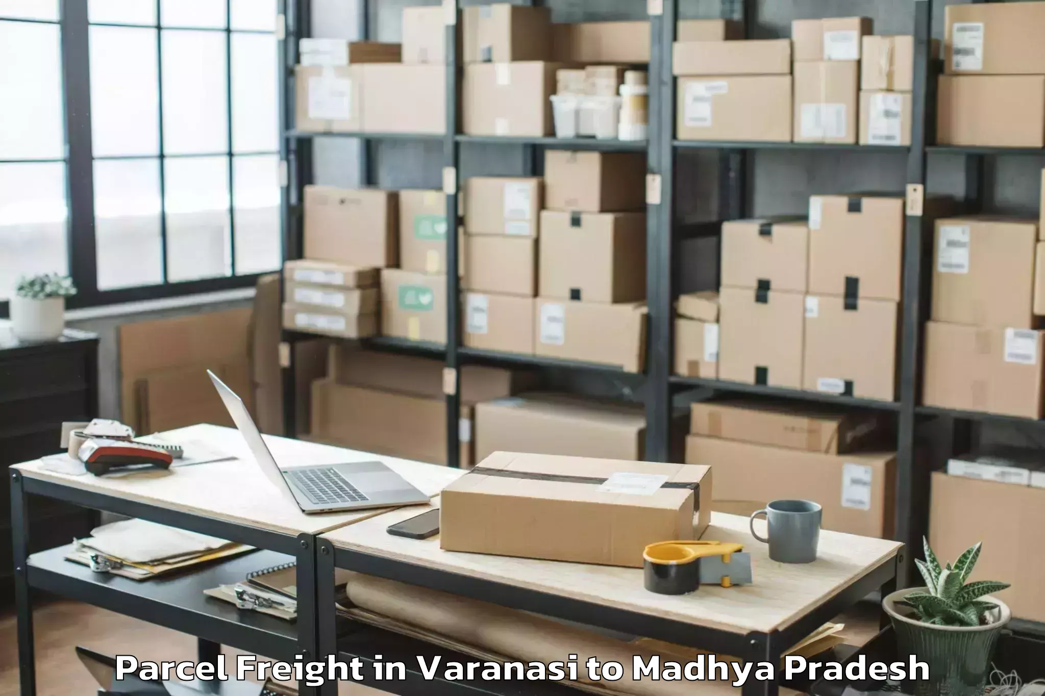 Discover Varanasi to Bijawar Parcel Freight